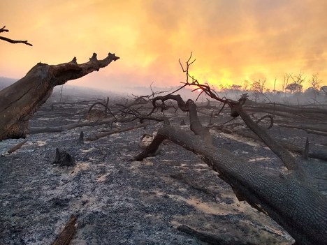 2021-09-17-contratacao-brigadistas-Ibama2