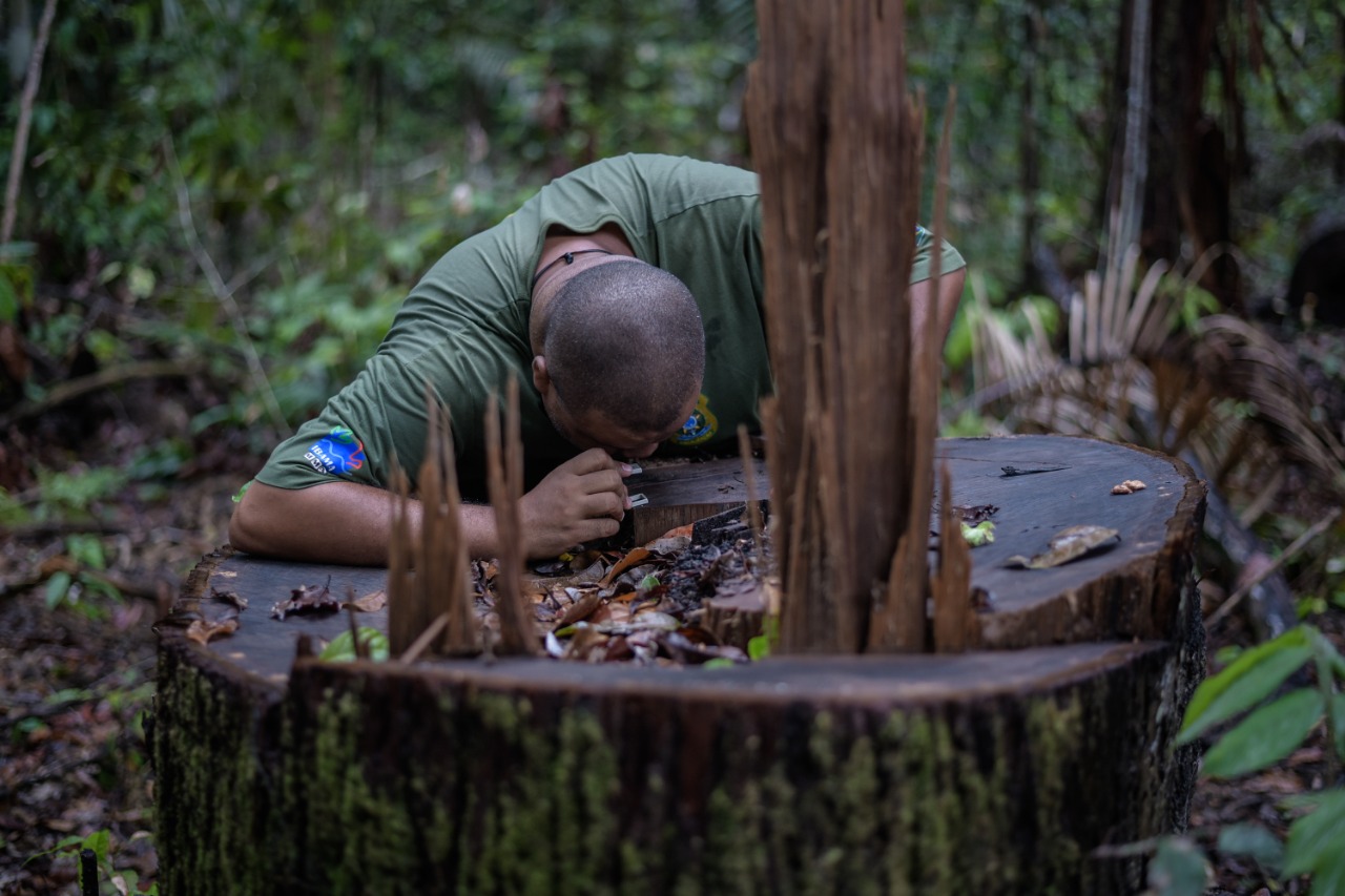 2021-02-10-madeira-Ibama