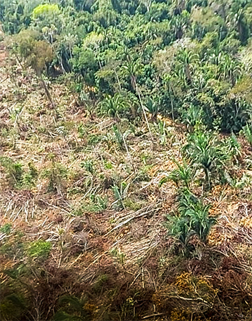 2021-08-18-Operacao-TI-Apyterewa-Ibama