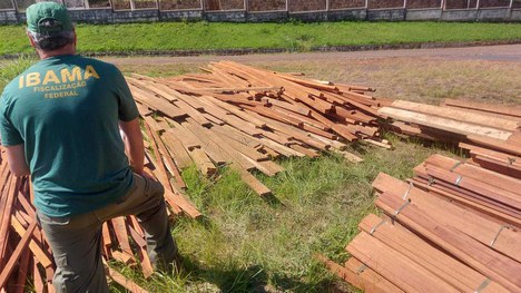 2021-04-28-apreensao-castanheira-Brasil1-Ibama-PRF