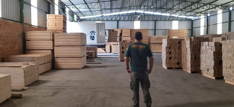 2021-10-29_fiscalizacao-madeira_Ibama_MG