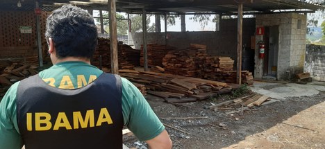 2021-10-29_fiscalizacao-madeira_Ibama_MG2
