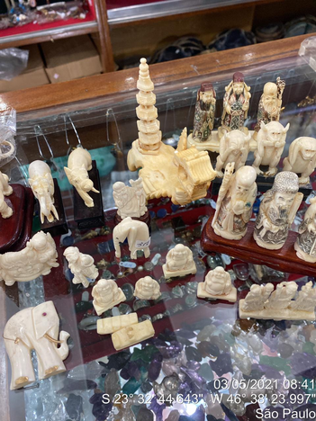 2021-05-05-comercio-ilegal-marfim-Ibama