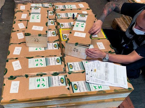 2021-06-18-apreensao-jabutis-GRU-Ibama