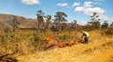 Ibama participa de simulado de combate a incêndios florestais no Parque Estadual da Serra do Rola-Moça