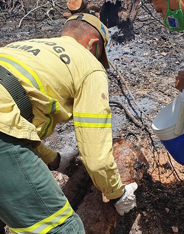 2021-11-16-acoes_prevencao_incendiosno_CE_Ibama