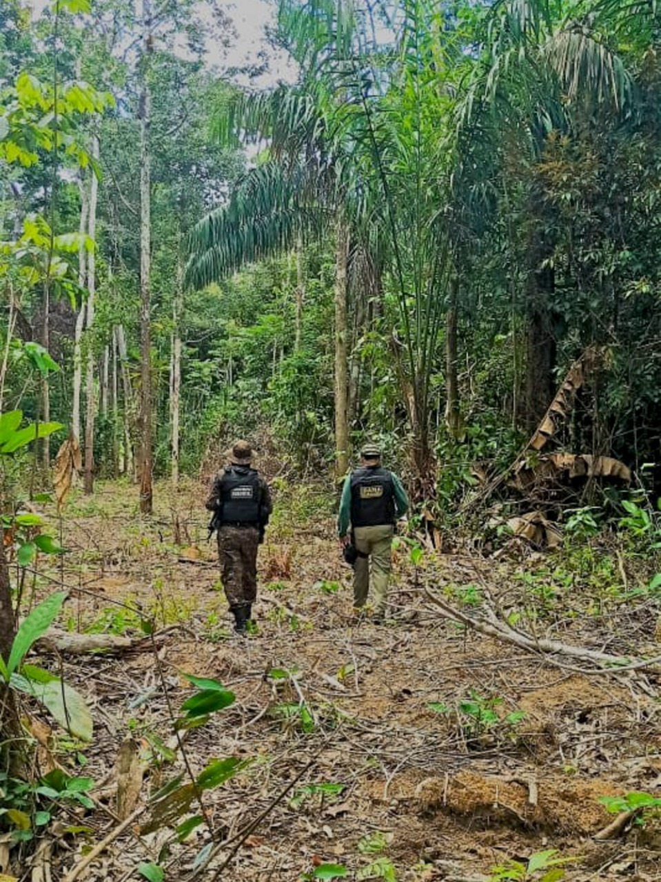 2021-05-05-Operacao-Amazonia-Verde-II-Ibama-RR