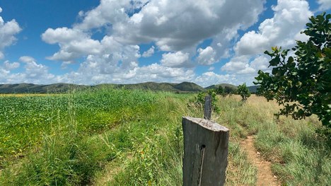 2021-10-01-Agrotoxicos-TI-Serra-da-moca-RR1