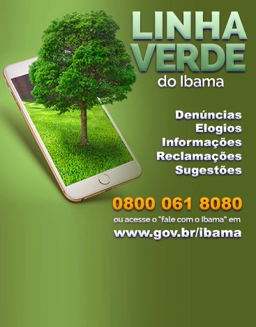 2021-06-30-linha-verde-destaque