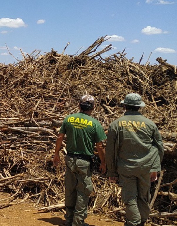 2021-09-17-operacao_mandacaru_CE_Ibama