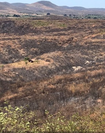 2021-09-17-operacao_mandacaru_CE_Ibama1