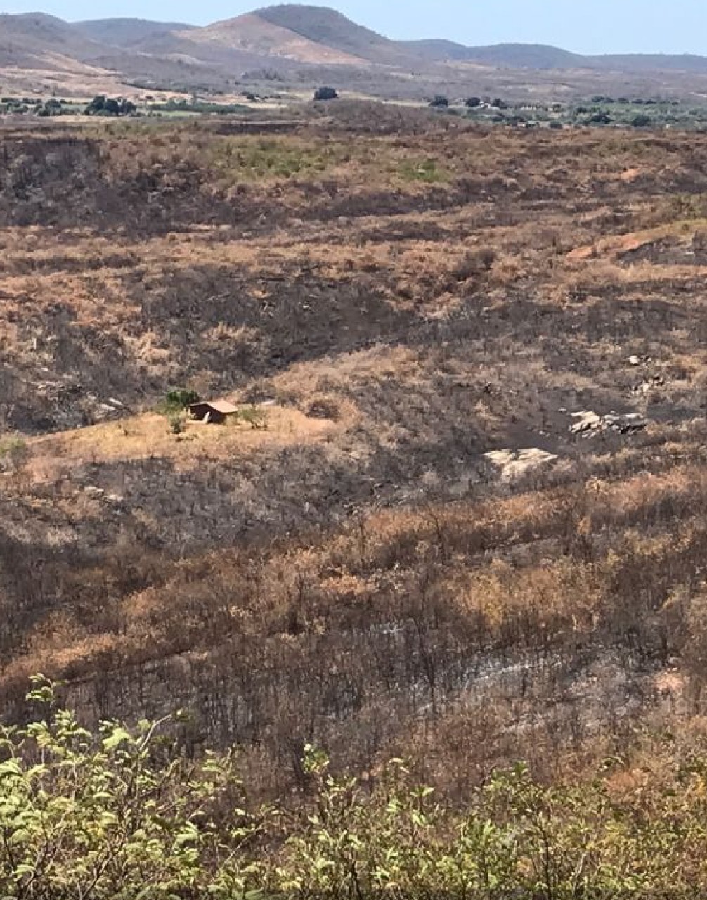 2021-09-17-operacao_mandacaru_CE_Ibama1