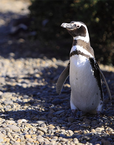 2021-04-30-Martin-St-Amant-CC-BY-SA-3-0