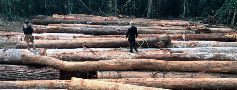 2021-08-31-apreensao-toras-TI-Kaxarari