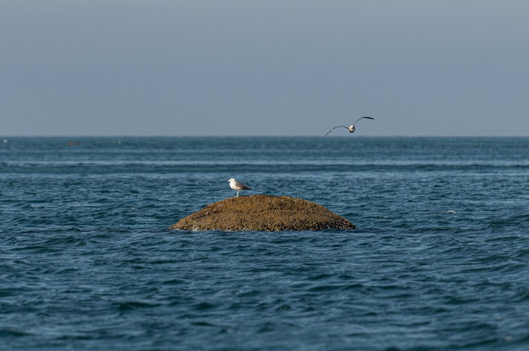 2021-05-12-zona-costeira-marinha-Brasil-Ibama-Vinicius-Mendonca