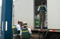 Agentes Ambientais Federais do Ibama em formação apreendem e doam 1,6 tonelada de pescado