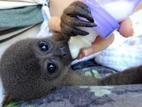 Encontro Nacional dos Cetas é realizado em Goiânia