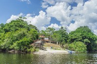 Ibama aprova Plano de Manejo Florestal Sustentável inédito em Flona no Amapá