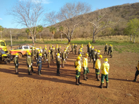 Ibama capacita 50 militares em prevenção e combate aos incêndios florestais