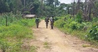 Ibama combate desmatamento e ocupações ilegais na Terra Indígena Ituna/Itatá, no Pará