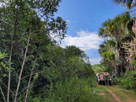 2022-03-31_soltura_12_araras_Ibama_GO