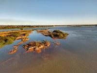 Ibama é premiado com Selo Verde Internacional de Ações Sustentáveis