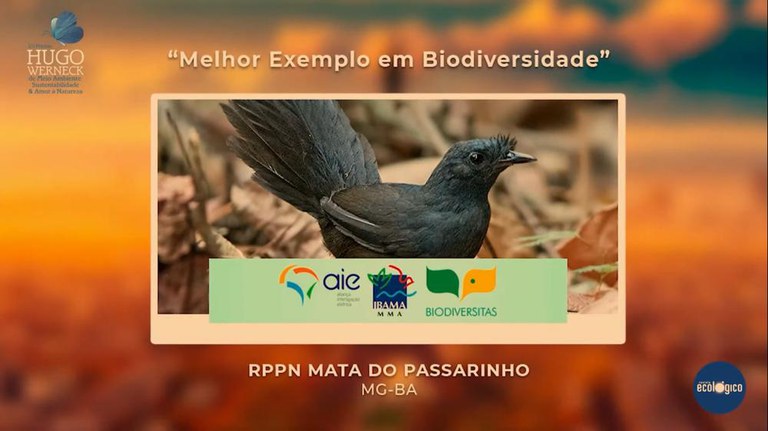 2022-02-24_Biodiversidade_Premio_Hugo Werneck