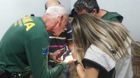 Ibama em Minas Gerais resgata 288 pássaros