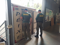 Ibama fiscaliza a atividade pesqueira no Espírito Santo