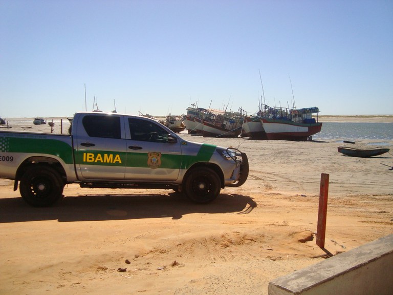 Ibama identifica mais de 249 toneladas de lagosta provenientes de pesca ilegal no Ceará