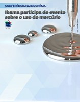 Ibama participa de conferência na Indonésia sobre uso do mercúrio