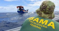 Ibama realiza ações de proteção à lagosta no litoral brasileiro
