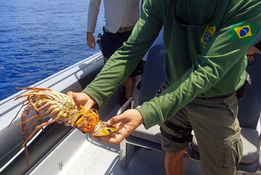 2022-02-01_op_defeso_lagosta_litoral_Ibama