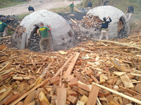 Ibama realiza Operação contra o corte ilegal de Castanheiras no Pará