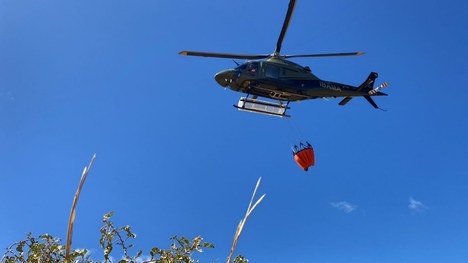 2022-08-01_treinamento_combate_incendios_Ibama3