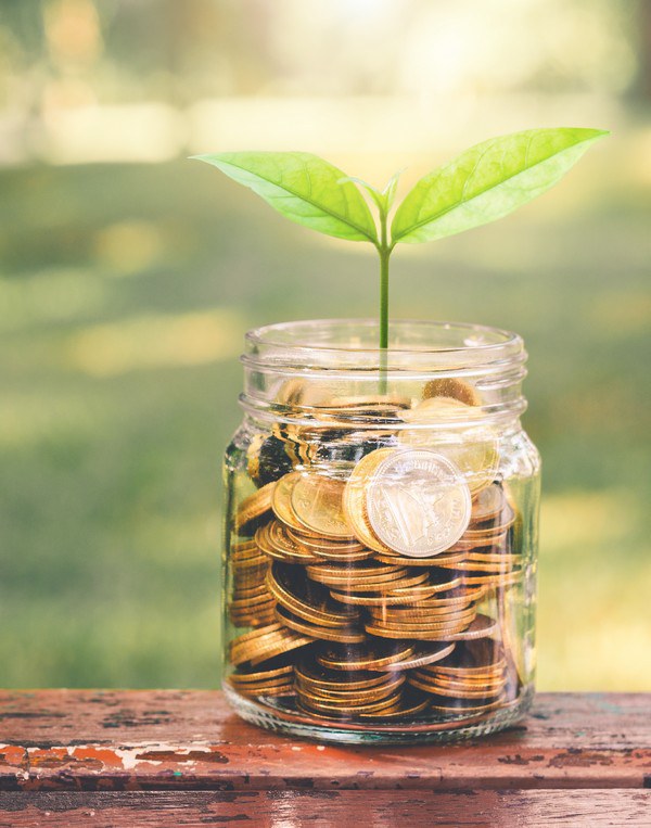 2022-01-04-Site-Foto-Orçamento-368x468px_Prancheta 1.jpg