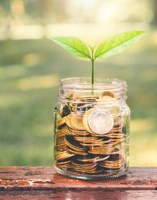 Ibama utiliza 98% dos recursos destinados ao meio ambiente em 2021