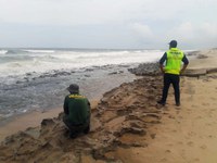 Ibama vistoria áreas atingidas por vazamento de óleo no litoral do Ceará