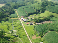 Licenciamento do Ibama reduz a quase zero supressão de vegetação para implantação de Linha de Transmissão no sul do país