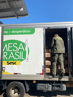 Operação Mullet desarticula esquema de distribuição de pescado ilegal no sul do país