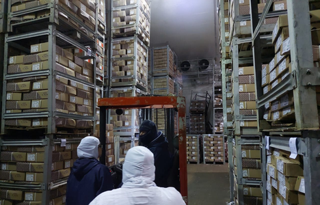 2022-05-31_Operacao_Mullet_Ibama_SC