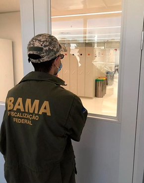 2022-03-03_Ibama_operacao_terra_brasilis