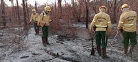 Prevfogo atua no controle de incêndios na Terra Indígena Kadiweu