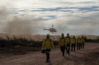 Publicados editais de contratação de Brigadas Federais de Incêndios