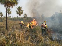 Em 2023, Ciman realizou 69 reuniões com 21 instituições diferentes