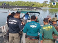 Fiscalização do Ibama apreende 370 kg de camarão, na Bahia