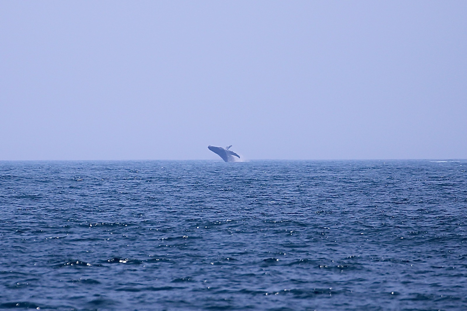 2023-11-03_Samarco_TMU