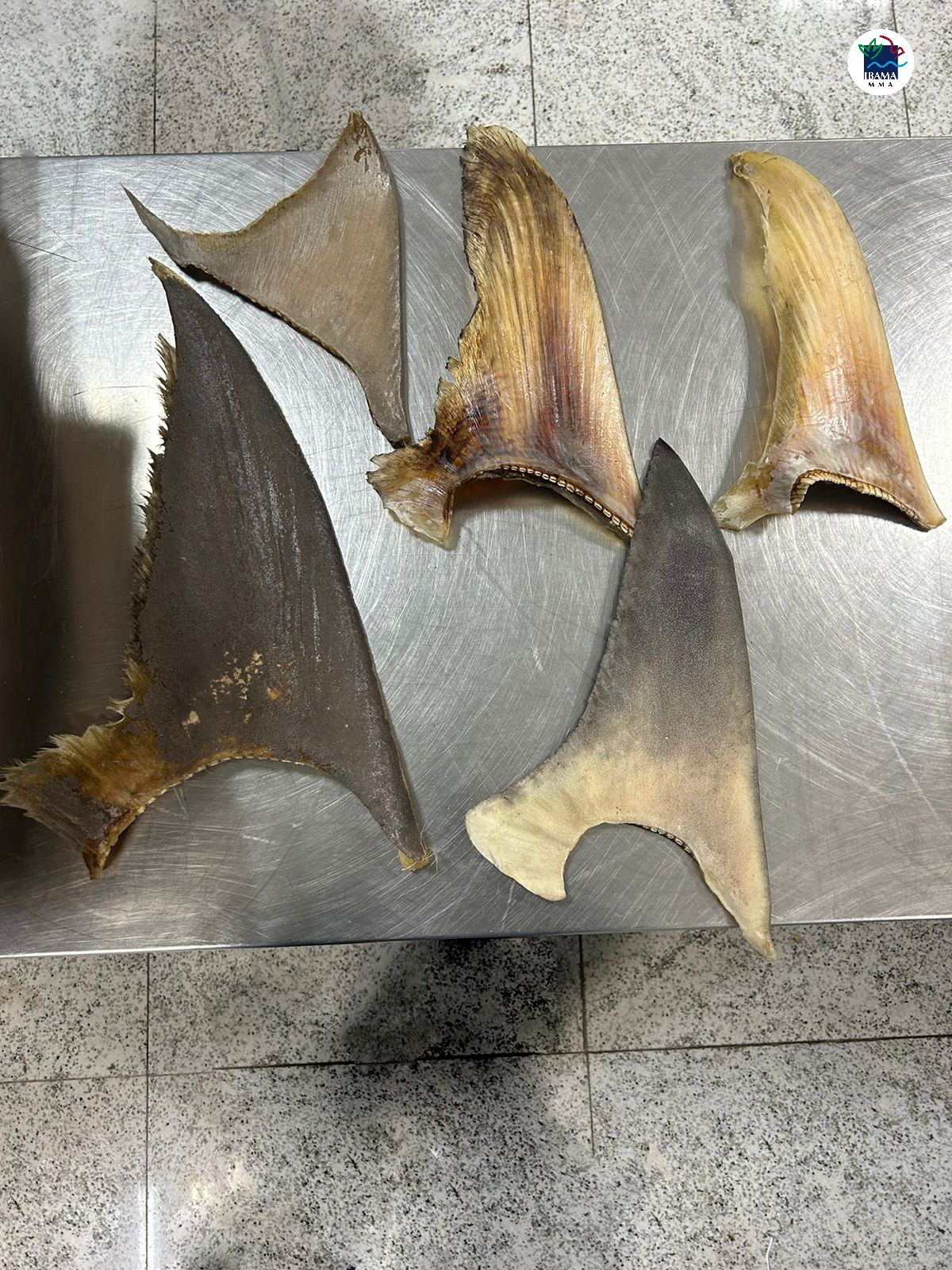 WhatsApp Image 2023-07-21 at 11.28.51