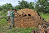 Ibama apreende mais de 300 metros cúbicos de madeira na Terra Indígena Araribóia (MA)