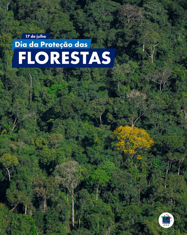 2023-07-17_Dia_de_Proteção_as_Florestas_no_Brasil